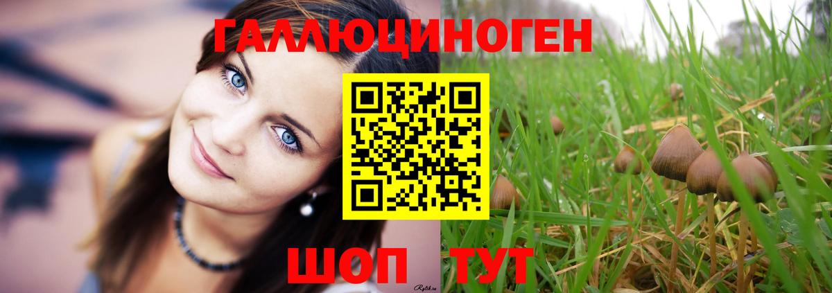 Псилоцибиновые грибы мухоморы  Вход с VPN  Псилоцибиновые грибы прущие грибы  Смоленск 